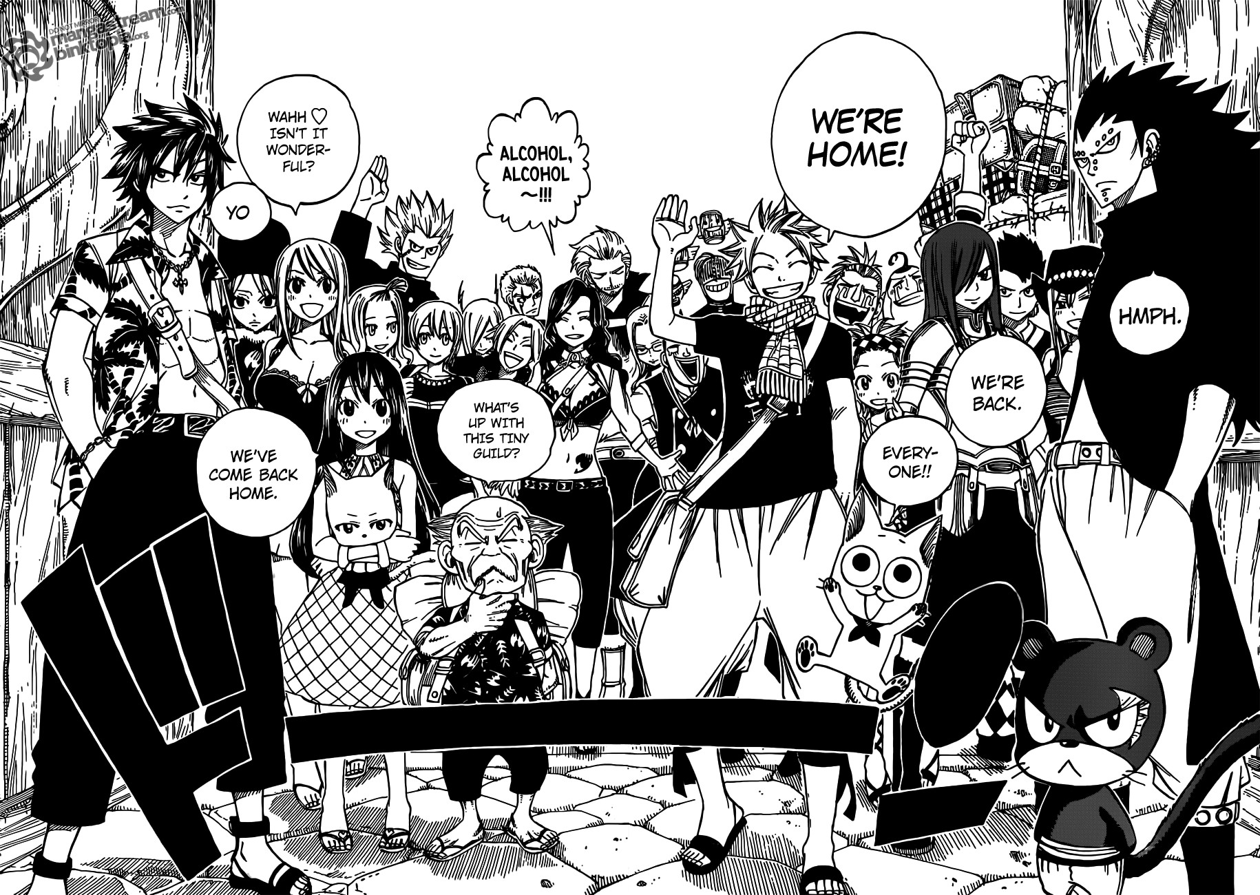 Fairy Tail Chapter 255 12